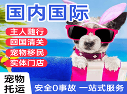 张家界荷花空运国际宠物托运 【国